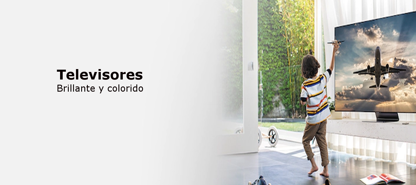 televisores